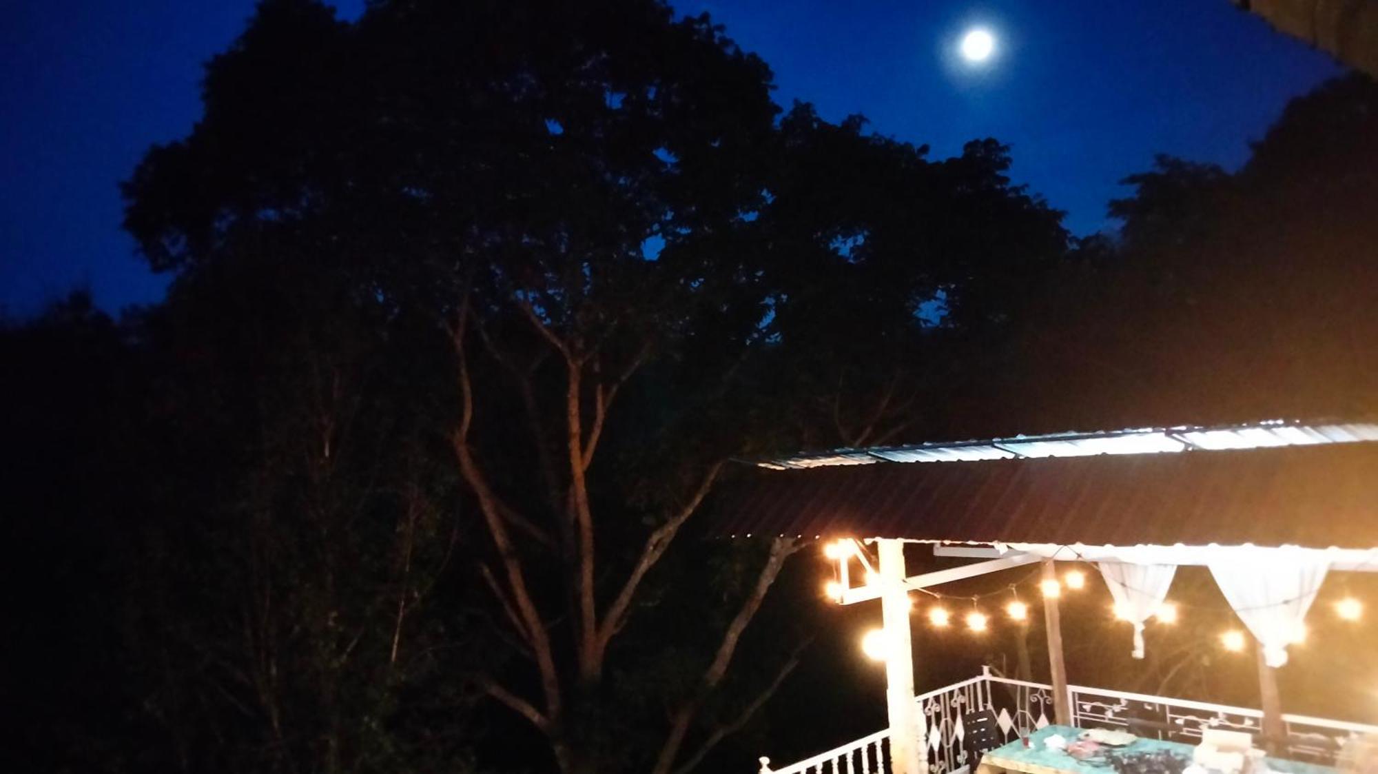 Balmy Hideout Cafe & Homestay Ban Huai Kaeo 외부 사진