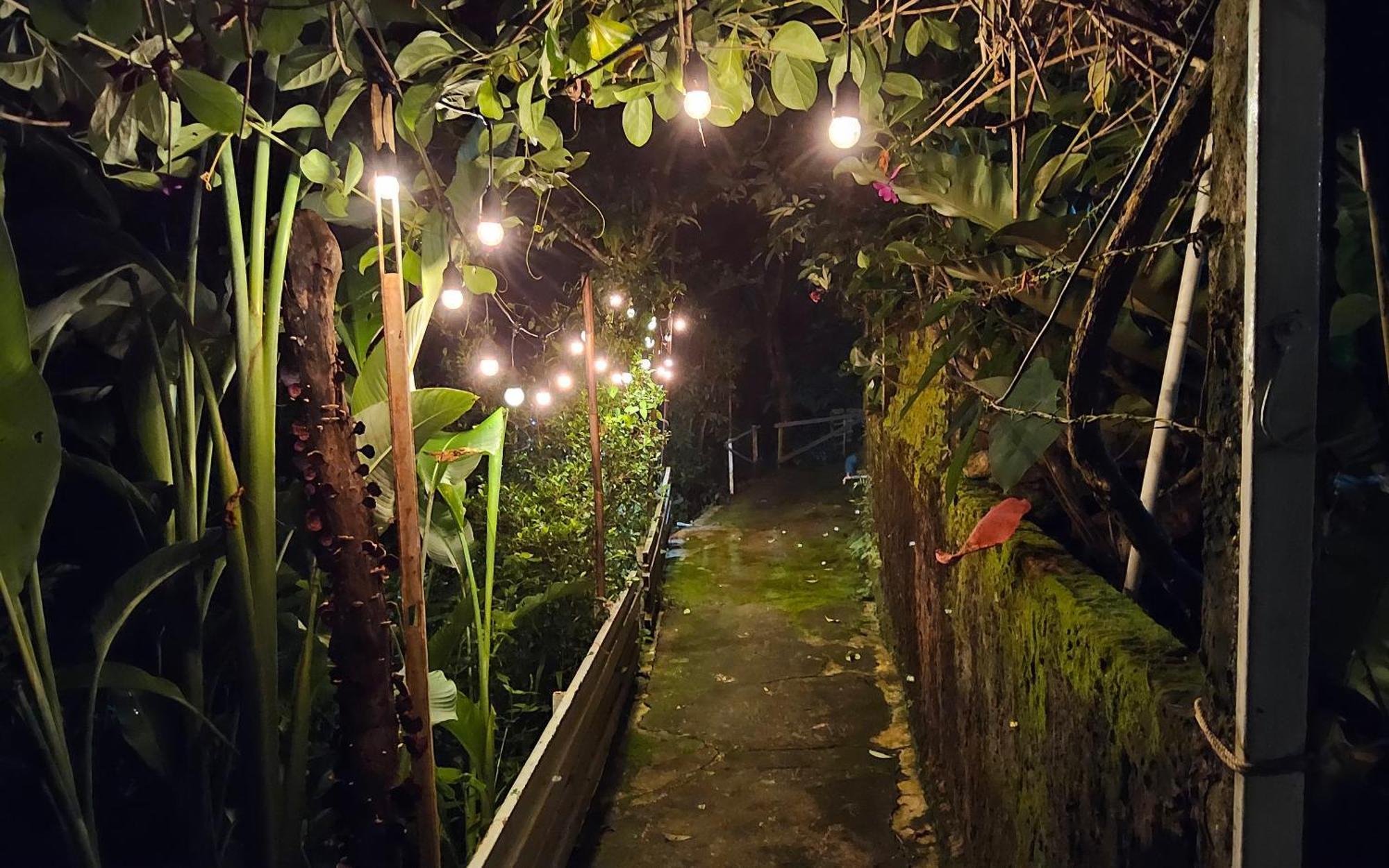 Balmy Hideout Cafe & Homestay Ban Huai Kaeo 외부 사진