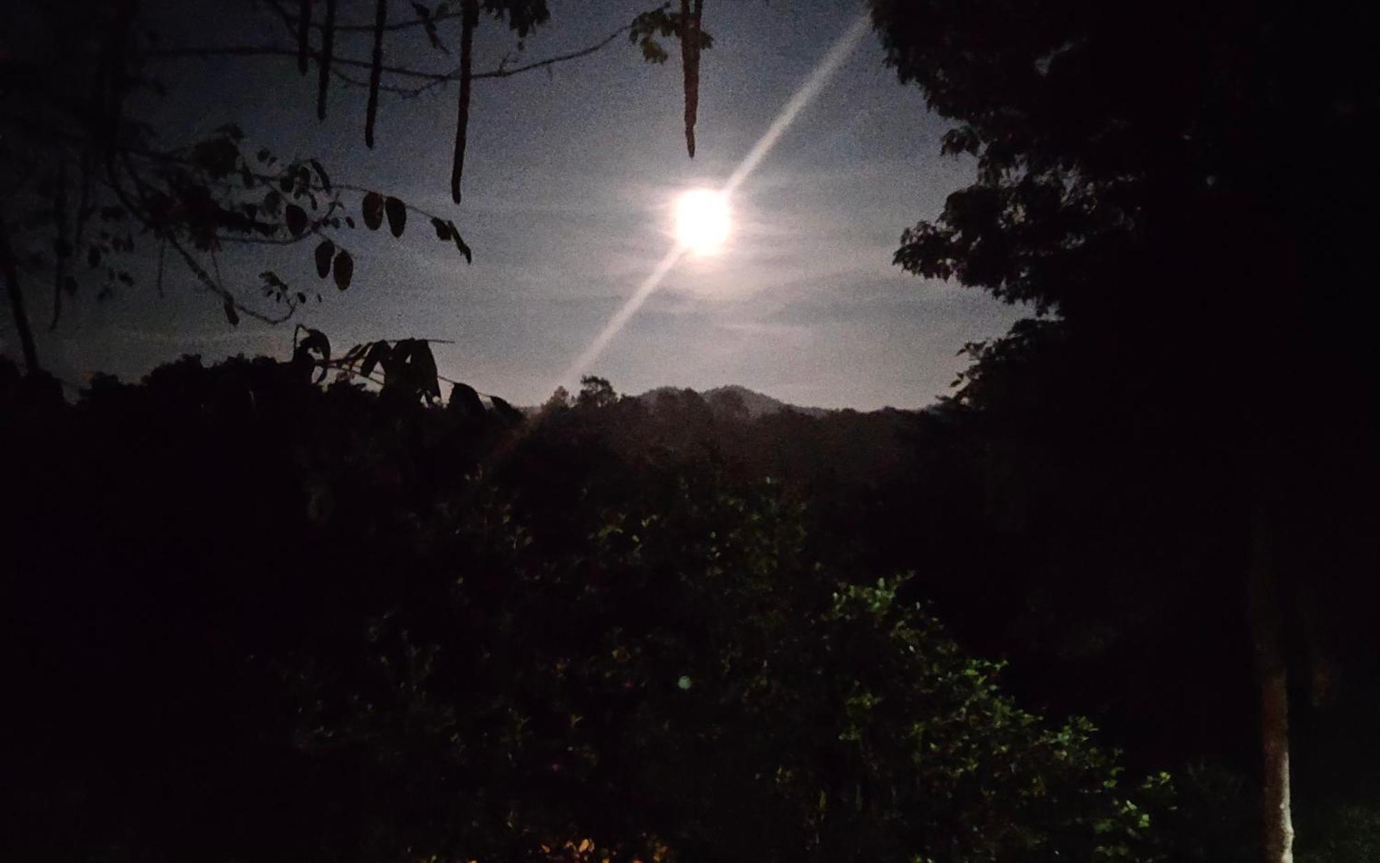 Balmy Hideout Cafe & Homestay Ban Huai Kaeo 외부 사진