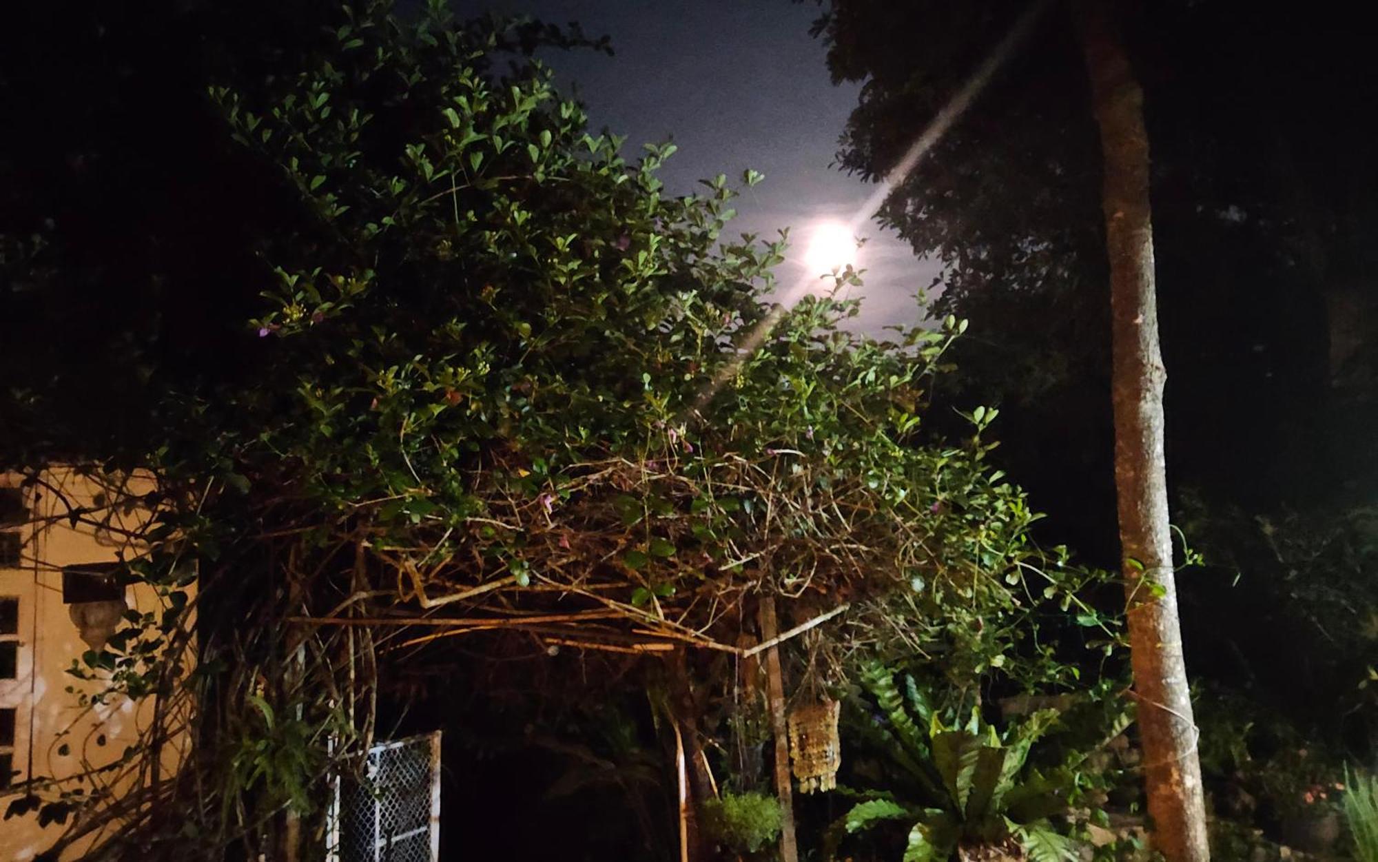 Balmy Hideout Cafe & Homestay Ban Huai Kaeo 외부 사진