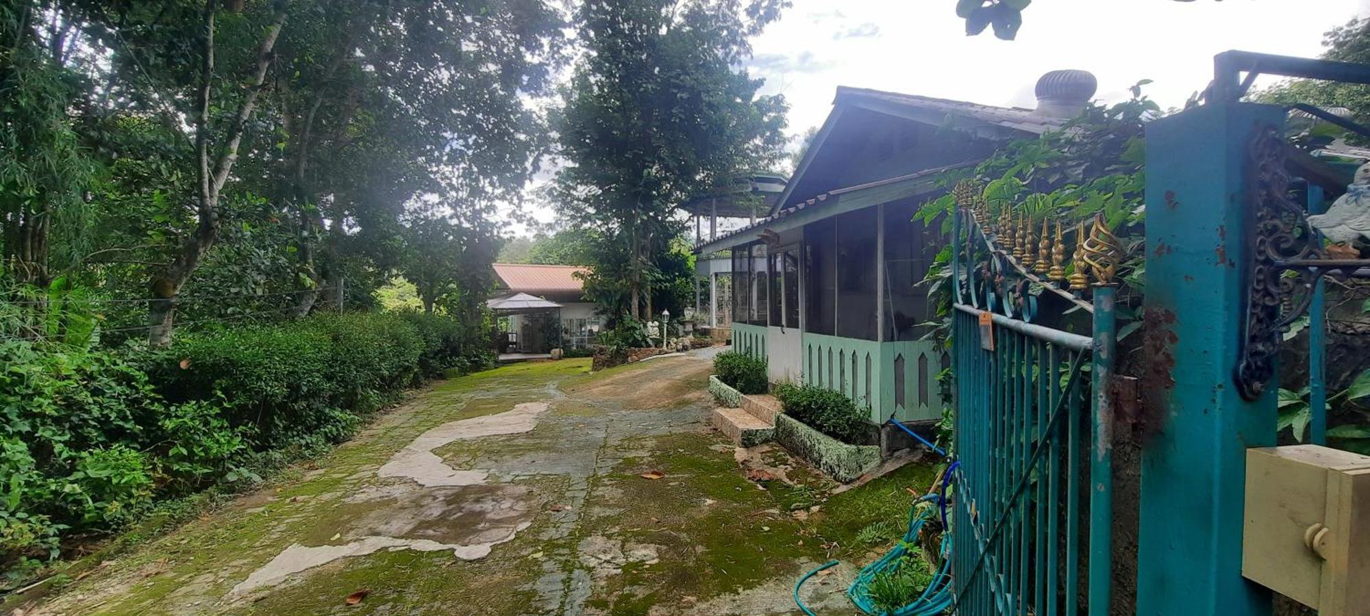 Balmy Hideout Cafe & Homestay Ban Huai Kaeo 외부 사진