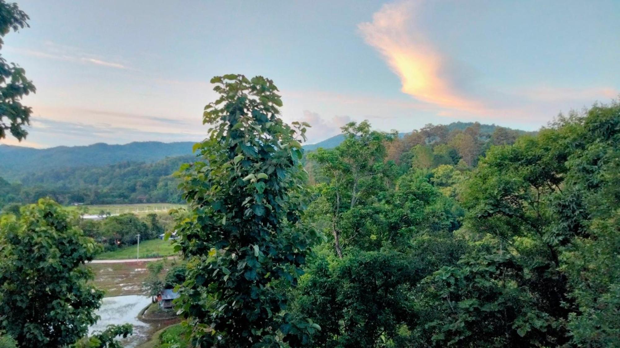 Balmy Hideout Cafe & Homestay Ban Huai Kaeo 외부 사진