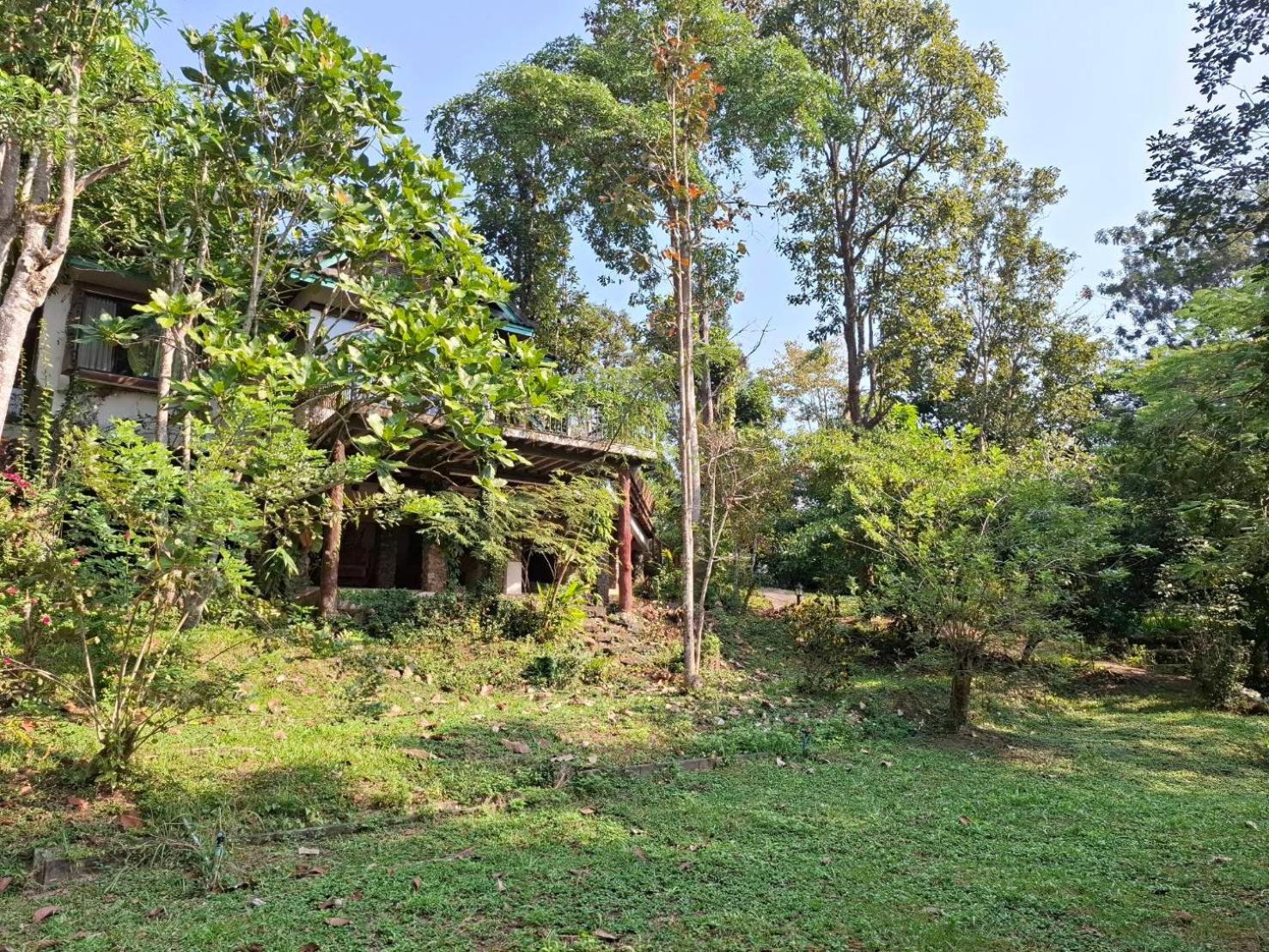 Balmy Hideout Cafe & Homestay Ban Huai Kaeo 외부 사진