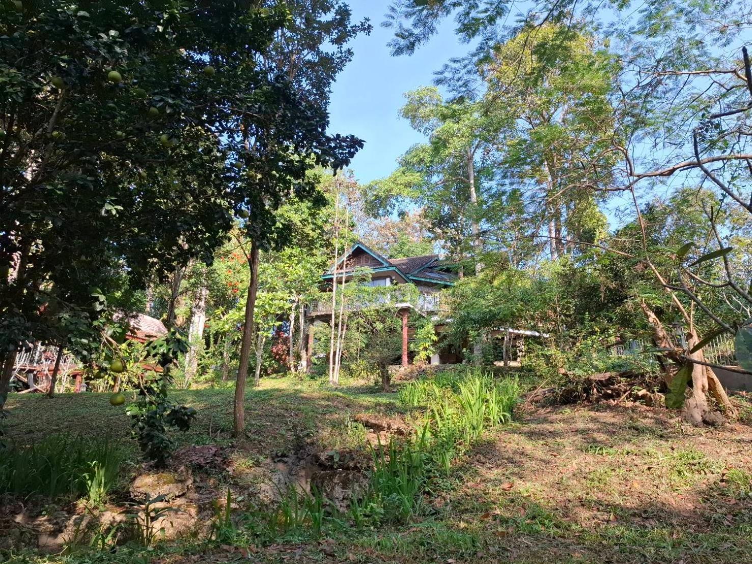 Balmy Hideout Cafe & Homestay Ban Huai Kaeo 외부 사진